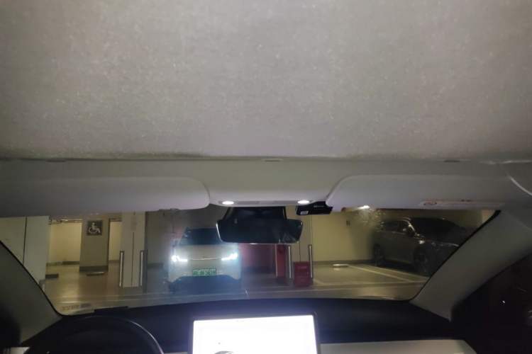 Used Tesla Model 3 2020 Standard Range Rear-Wheel Drive Upgraded Version Headliner