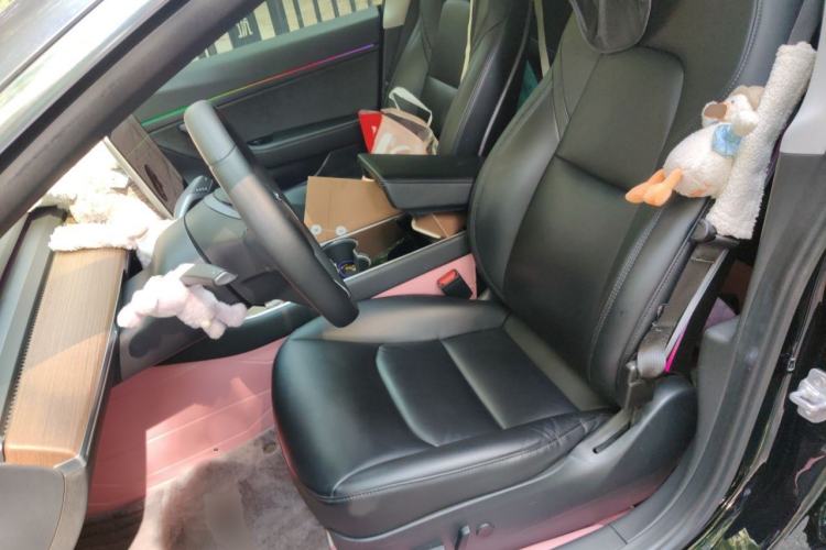 Used Tesla Model 3 2020 Long-Range Rear-Wheel-Drive Version Left Front Seat