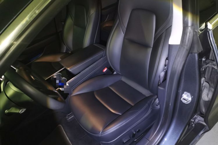 Used Tesla Model 3 2020 Standard Range Rear-Wheel Drive Upgraded Version Left Front Seat