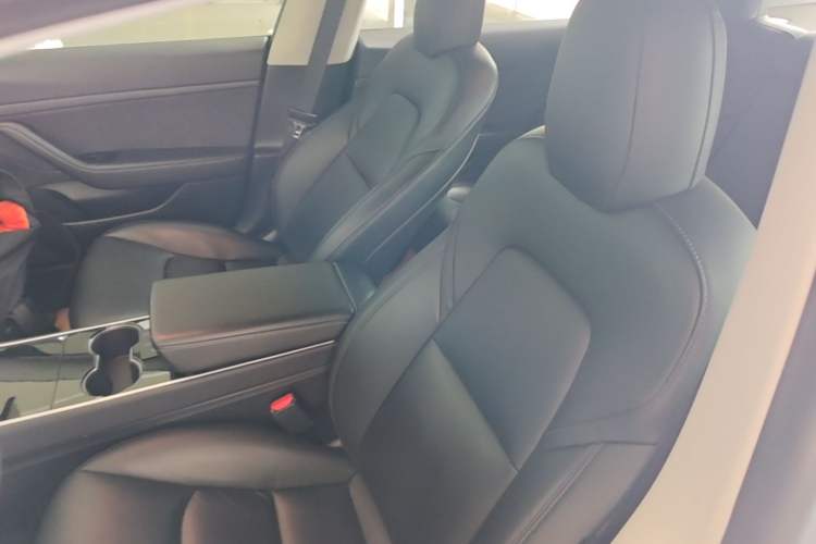 Used Tesla Model 3 2020 Standard Range Rear-Wheel Drive Upgraded Version Left Front Seat