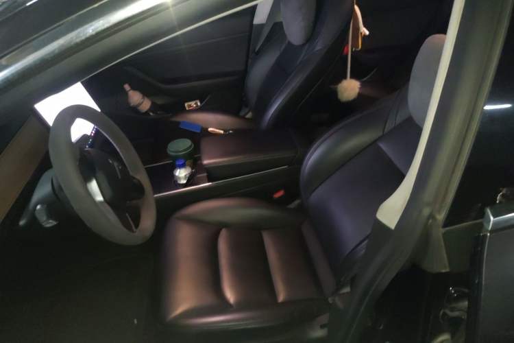 Used Tesla Model 3 2020 Standard Range Rear-Wheel Drive Upgraded Version Left Front Seat