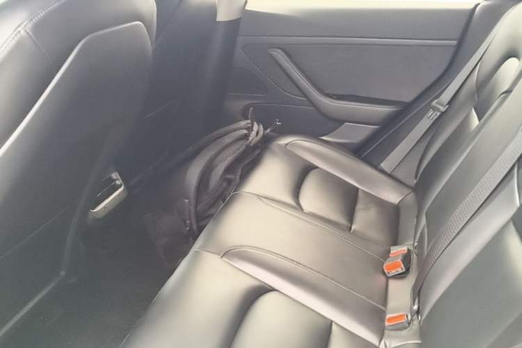 Used Tesla Model 3 2020 Standard Range Rear-Wheel Drive Upgraded Version Left Rear Seat