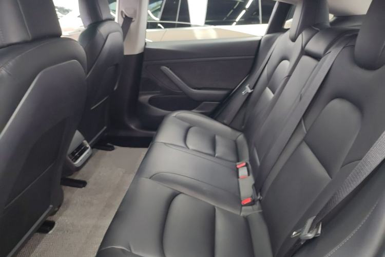 Used Tesla Model 3 2020 Standard Range Rear-Wheel Drive Upgraded Version Left Rear Seat