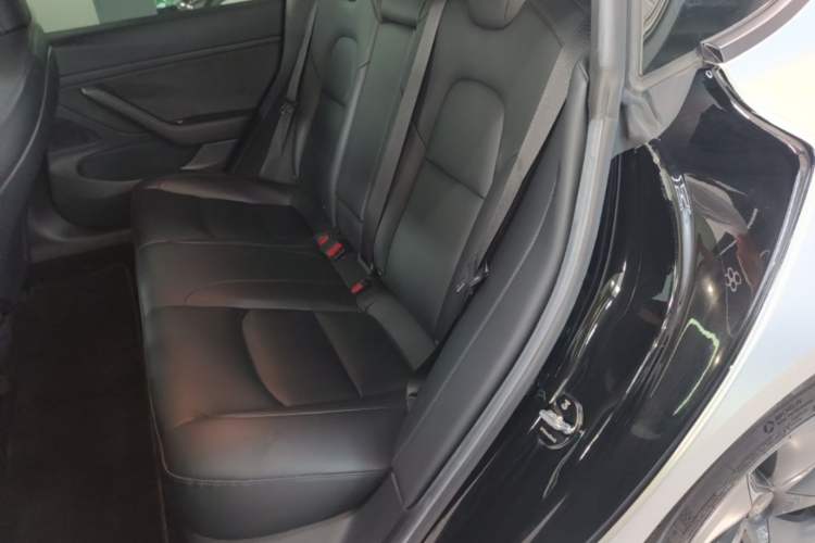 Used Tesla Model 3 2020 Refreshed Version Long-Range Rear-Wheel Drive Left Rear Seat