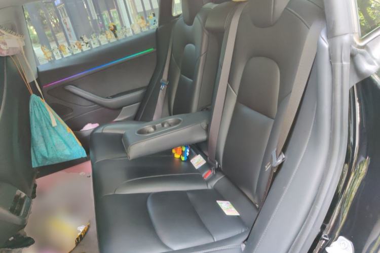 Used Tesla Model 3 2020 Long-Range Rear-Wheel-Drive Version Left Rear Seat