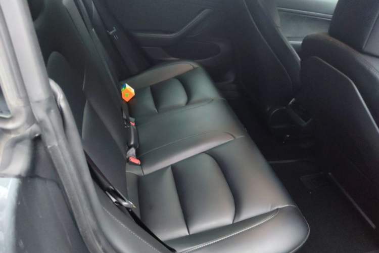 Used Tesla Model 3 2020 Standard Range Rear-Wheel Drive Upgraded Version Left Rear Seat