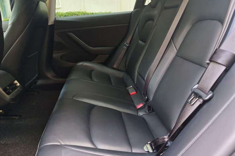 Used Tesla Model 3 2020 Revised Version Standard Range Rear-Wheel Drive – Upgraded Edition Left Rear Seat