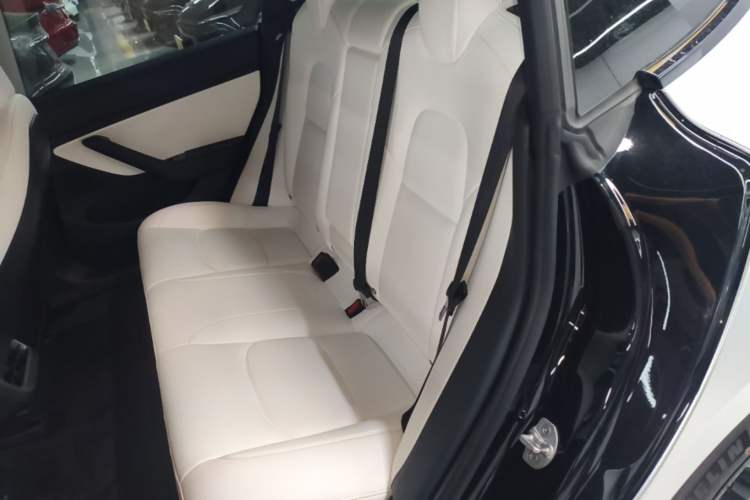 Used Tesla Model 3 2020 Refreshed Version Long-Range Rear-Wheel Drive Left Rear Seat