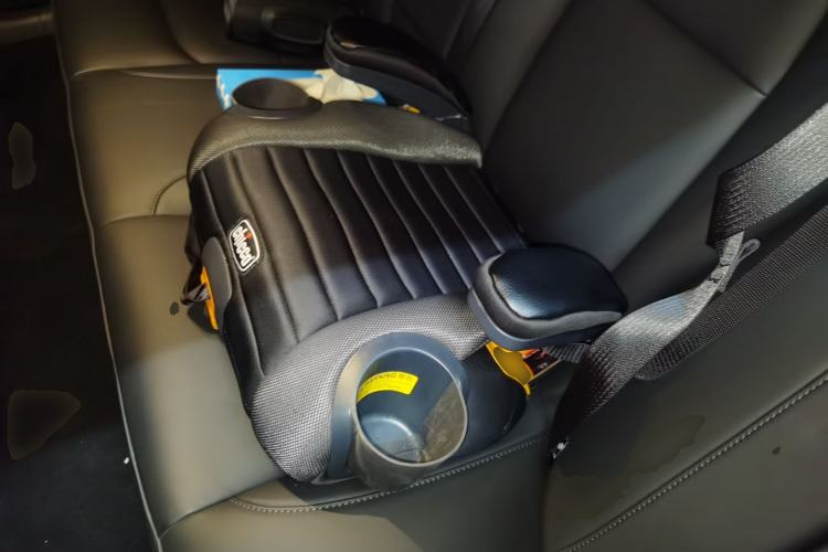 Used Tesla Model 3 2020 Revised Version Standard Range Rear-Wheel Drive – Upgraded Edition Left Rear Seat