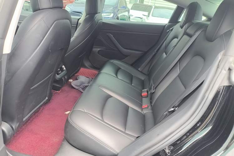 Used Tesla Model 3 2020 Revised Version Standard Range Rear-Wheel Drive – Upgraded Edition Left Rear Seat