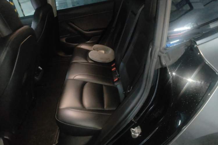 Used Tesla Model 3 2020 Standard Range Rear-Wheel Drive Upgraded Version Left Rear Seat