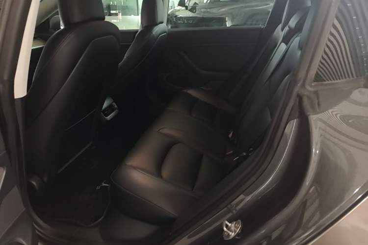 Used Tesla Model 3 2020 Standard Range Rear-Wheel Drive Upgraded Version Left Rear Seat