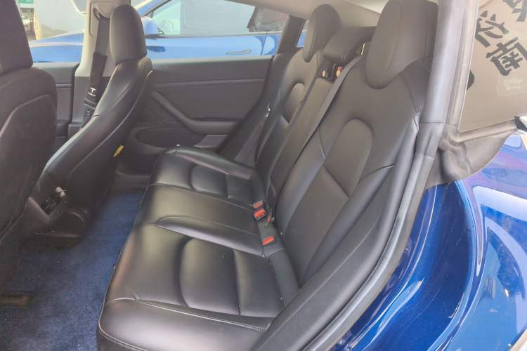 Used Tesla Model 3 2020 Standard Range Rear-Wheel Drive Upgraded Version Left Rear Seat