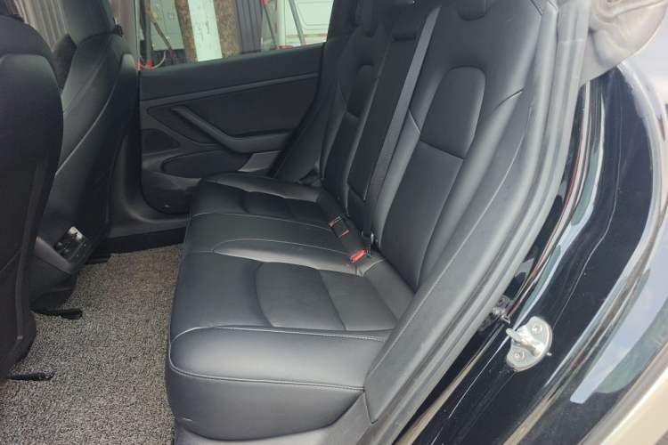 Used Tesla Model 3 2020 Revised Version Standard Range Rear-Wheel Drive – Upgraded Edition Left Rear Seat