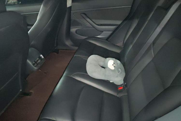 Used Tesla Model 3 2020 Revised Version Standard Range Rear-Wheel Drive – Upgraded Edition Left Rear Seat