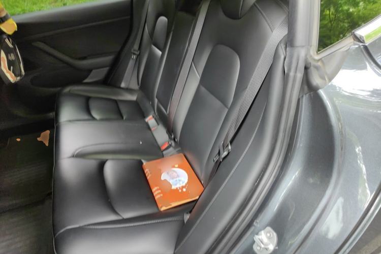 Used Tesla Model 3 2020 Standard Range Rear-Wheel Drive Upgraded Version Left Rear Seat