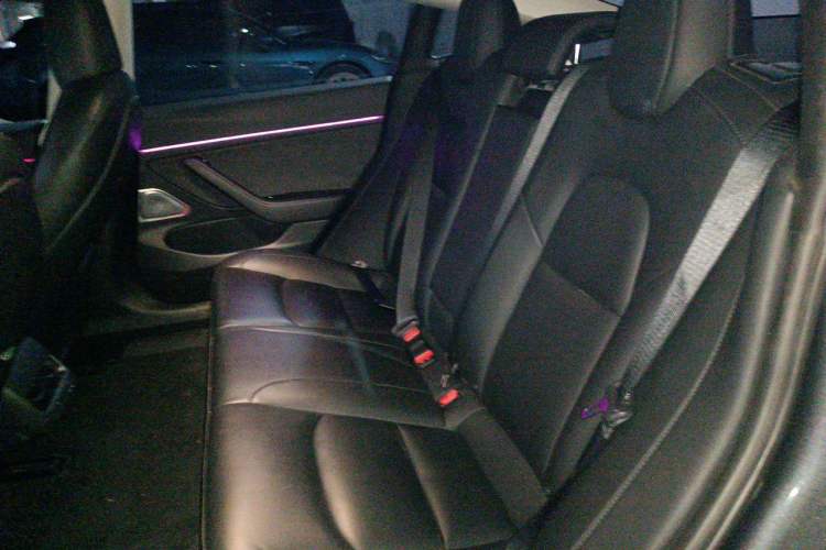 Used Tesla Model 3 2020 Revised Version Standard Range Rear-Wheel Drive – Upgraded Edition Left Rear Seat
