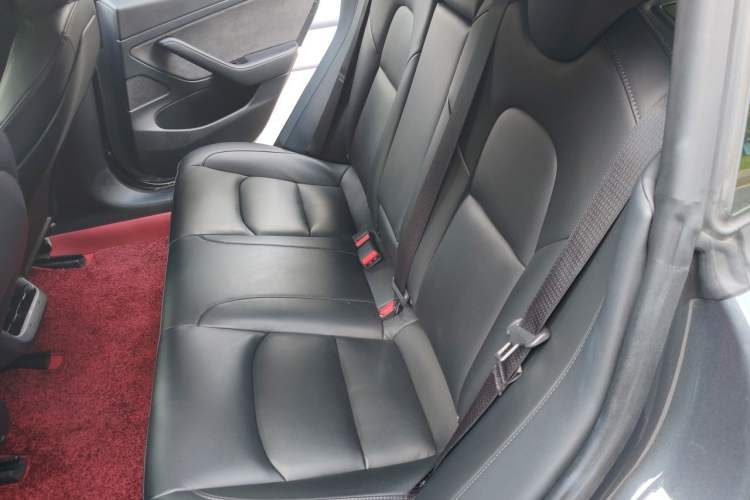 Used Tesla Model 3 2020 Standard Range Rear-Wheel Drive Upgraded Version Left Rear Seat