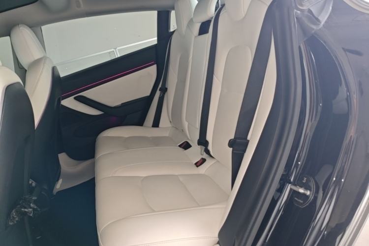 Used Tesla Model 3 2020 Standard Range Rear-Wheel Drive Upgraded Version Left Rear Seat