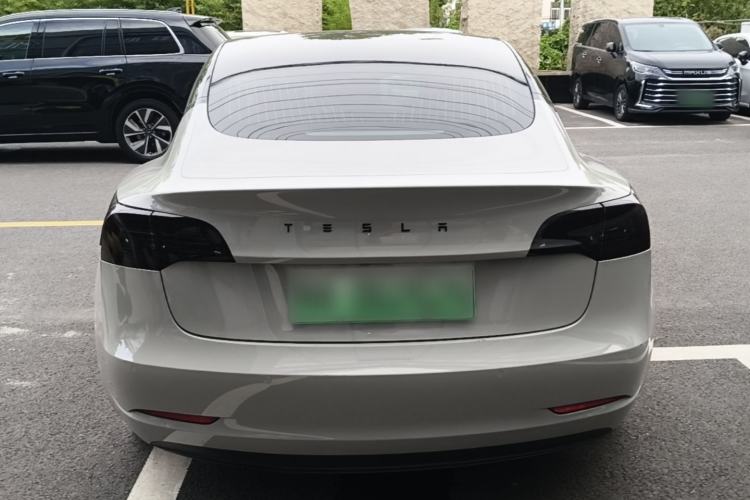 Used Tesla Model 3 2020 Standard Range Rear-Wheel Drive Upgraded Version Rear