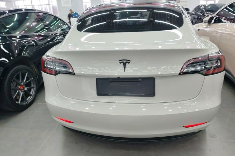 Used Tesla Model 3 2020 Standard Range Rear-Wheel Drive Upgraded Version Rear