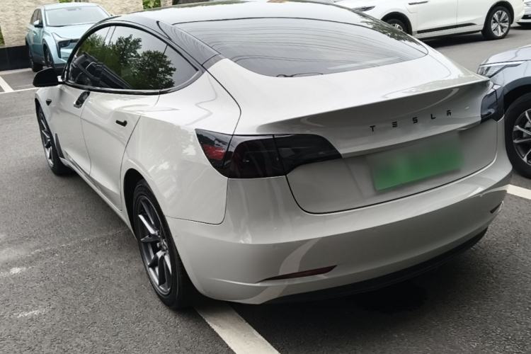 Used Tesla Model 3 2020 Standard Range Rear-Wheel Drive Upgraded Version Rear Left 45 Deg