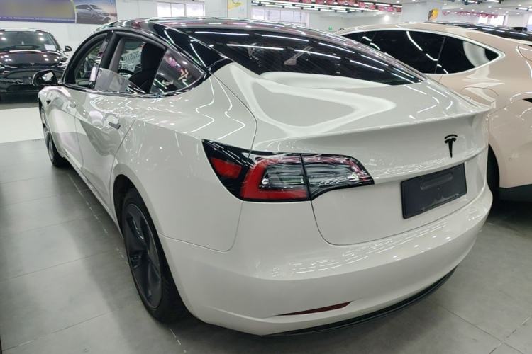 Used Tesla Model 3 2020 Standard Range Rear-Wheel Drive Upgraded Version Rear Left 45 Deg