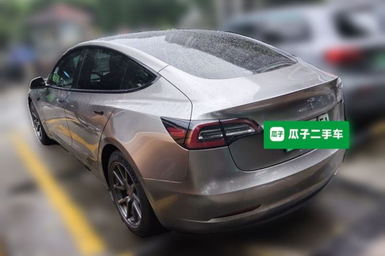 Used Tesla Model 3 2020 Standard Range Rear-Wheel Drive Upgraded Version Rear Left 45 Deg