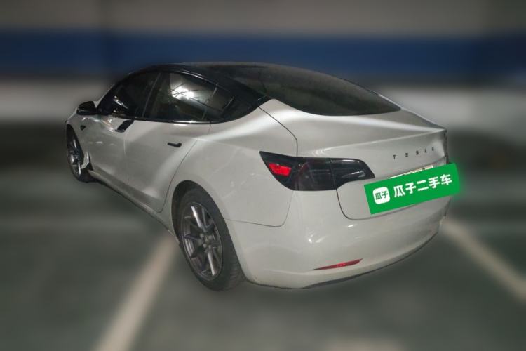 Used Tesla Model 3 2020 Standard Range Rear-Wheel Drive Upgraded Version Rear Left 45 Deg