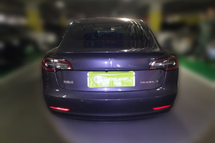 Used Tesla Model 3 2020 Standard Range Rear-Wheel Drive Upgraded Version Rear