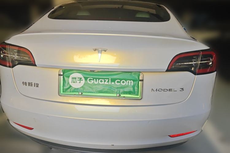 Used Tesla Model 3 2020 Standard Range Rear-Wheel Drive Upgraded Version Rear