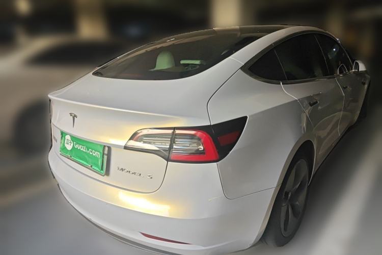 Used Tesla Model 3 2020 Standard Range Rear-Wheel Drive Upgraded Version Rear Right 45 Deg