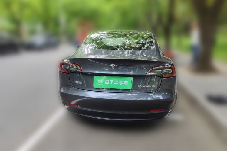 Used Tesla Model 3 2020 Standard Range Rear-Wheel Drive Upgraded Version Rear