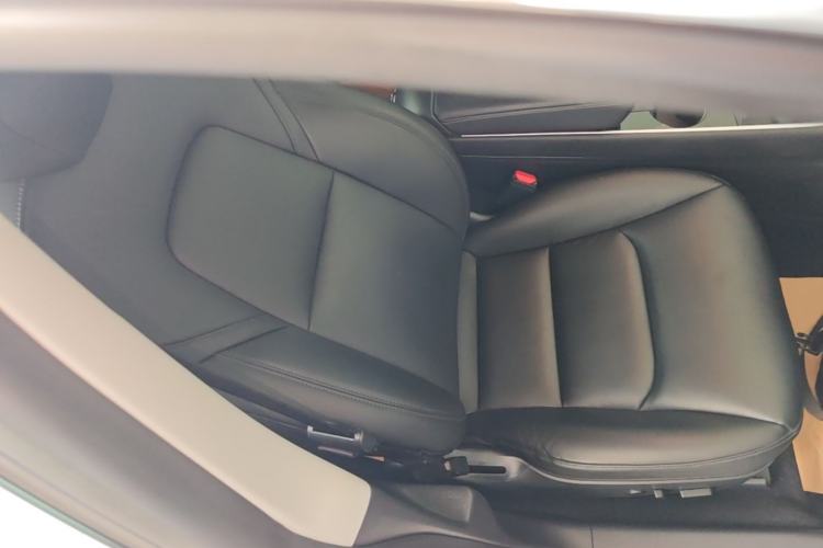 Used Tesla Model 3 2020 Standard Range Rear-Wheel Drive Upgraded Version Right Front Seat