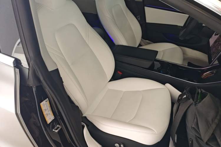 Used Tesla Model 3 2020 Standard Range Rear-Wheel Drive Upgraded Version Right Front Seat