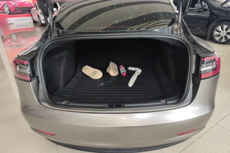 Used Tesla Model 3 2020 Standard Range Rear-Wheel Drive Upgraded Version Trunk