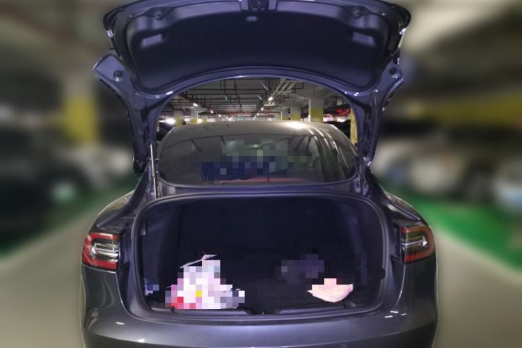 Used Tesla Model 3 2020 Standard Range Rear-Wheel Drive Upgraded Version Trunk