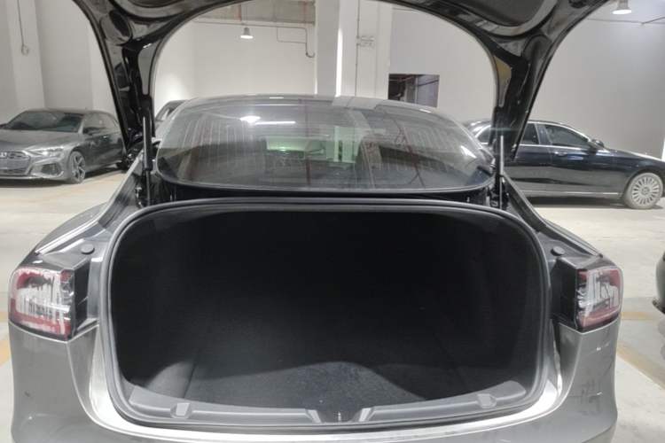 Used Tesla Model 3 2020 Standard Range Rear-Wheel Drive Upgraded Version Trunk