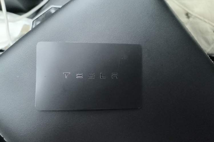 Used Tesla Model 3 2020 Standard Range Rear-Wheel Drive Upgraded Version Vehicle Key