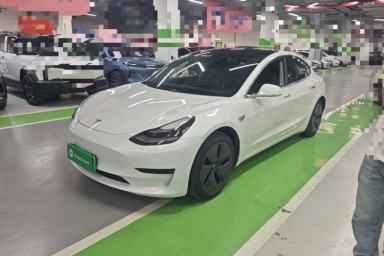 Used Tesla Model 3 2020 Standard Range Rear-Wheel Drive Upgraded Version