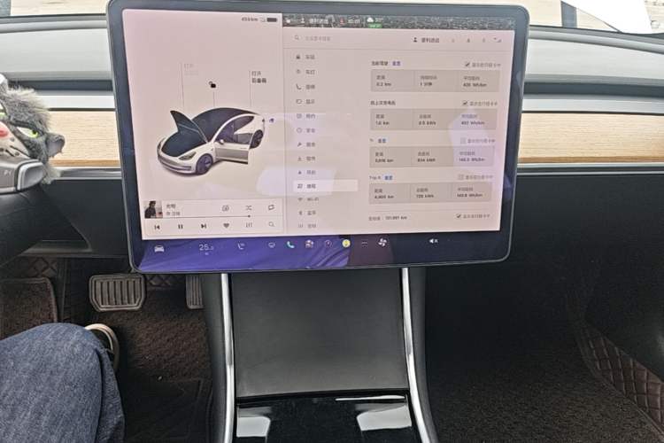 Used Tesla Model 3 2020 Refreshed Version Long-Range Rear-Wheel Drive Audio And AC Panel