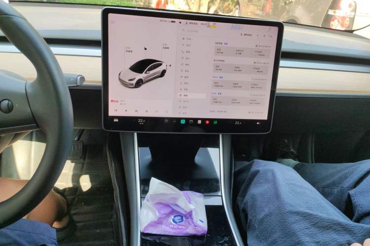 Used Tesla Model 3 2020 Standard Range Rear-Wheel Drive Upgraded Version Audio And AC Panel