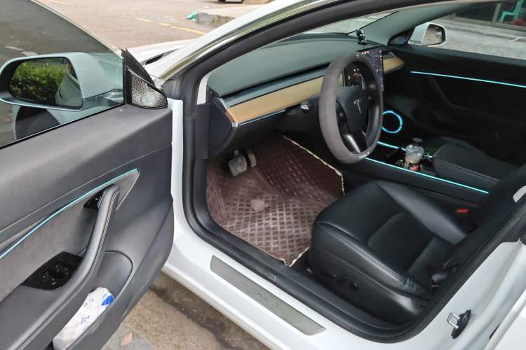 Used Tesla Model 3 2020 Standard Range Rear-Wheel Drive Upgraded Version Driver Seat