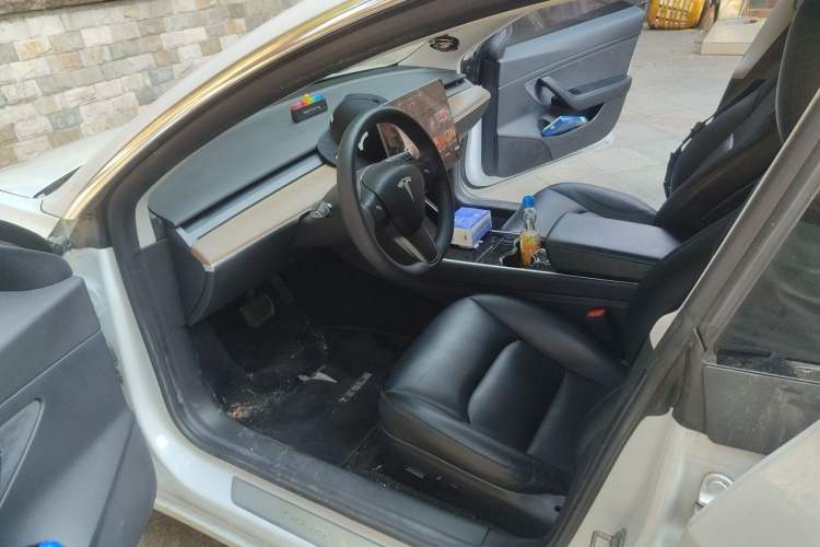 Used Tesla Model 3 2020 Standard Range Rear-Wheel Drive Upgraded Version Driver Seat