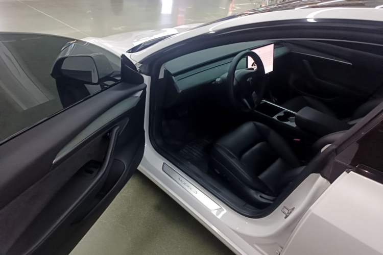 Used Tesla Model 3 2020 Standard Range Rear-Wheel Drive Upgraded Version Driver Seat