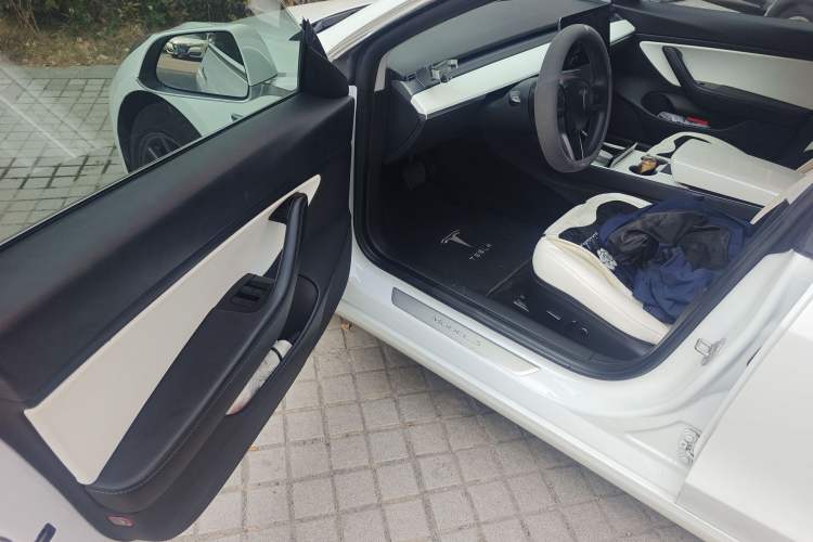 Used Tesla Model 3 2020 Revised Version Standard Range Rear-Wheel Drive – Upgraded Edition Driver Seat