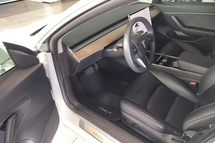 Used Tesla Model 3 2020 Standard Range Rear-Wheel Drive Upgraded Version Driver Seat