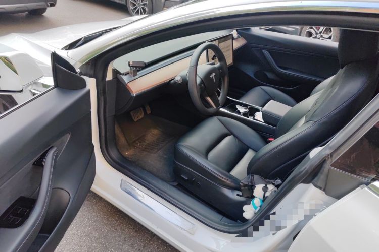 Used Tesla Model 3 2020 Standard Range Rear-Wheel Drive Upgraded Version Driver Seat