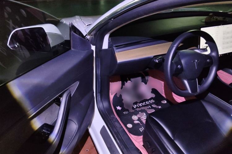 Used Tesla Model 3 2020 Standard Range Rear-Wheel Drive Upgraded Version Driver Seat