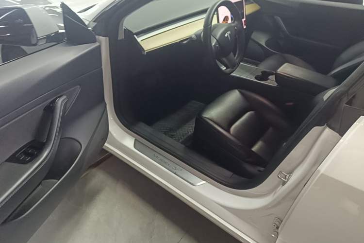 Used Tesla Model 3 2020 Standard Range Rear-Wheel Drive Upgraded Version Driver Seat